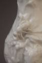 Chelsea White 'Goat and Bee' Jug (detail), 1745-1749. Soft-paste porcelain. Dixon Gallery and G ...