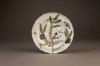 Chelsea 'Hans Sloane' Botanical Plate Painted with a Branch of Norway Spruce (Picae Abies), 175 ...