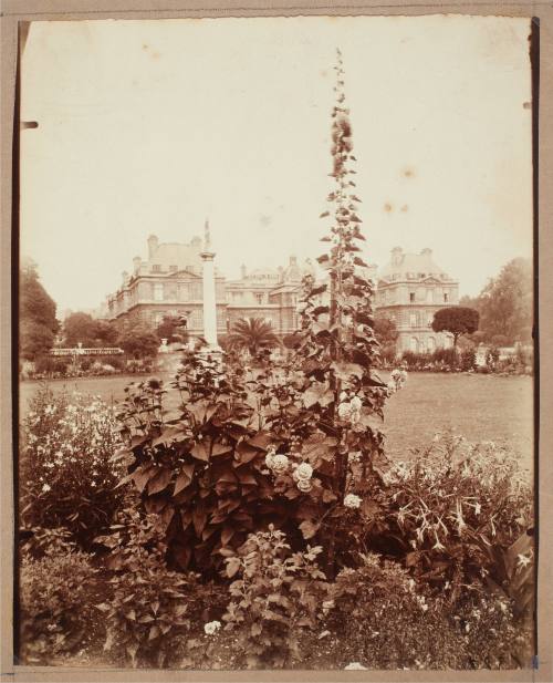 Eugène Atget, Luxembourg, August 1922. Albumen silver print. Dixon Gallery and Gardens, Gift of ...