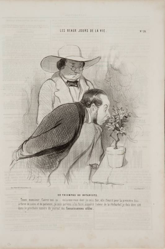 Honoré Daumier, The Botanist's Triumph, 1844. Lithograph on newsprint. Dixon Gallery and Garden ...